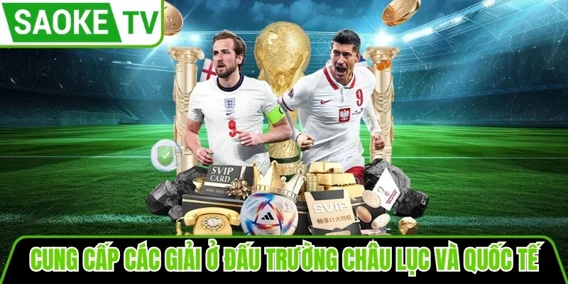 Cung cấp các giải ở đấu trường châu lục và quốc tế
